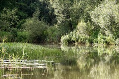 Killikus&reg; Fotographie